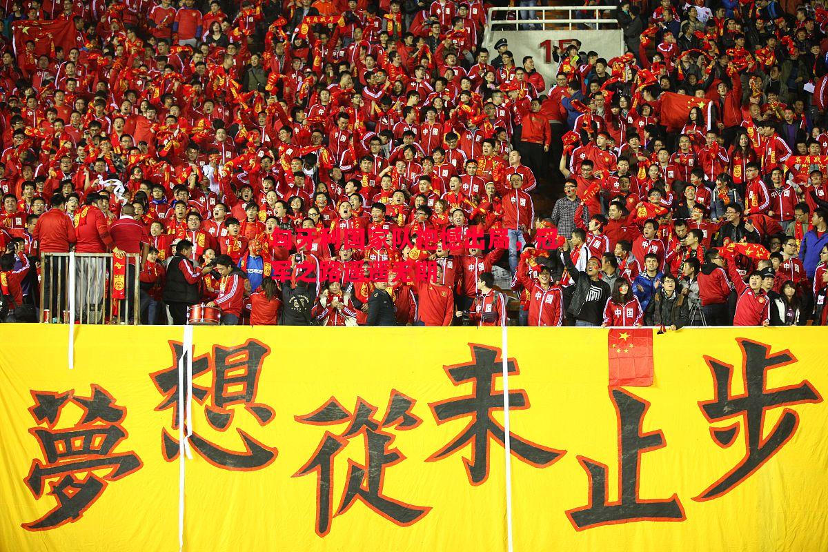匈牙利国家队抱憾出局，冠军之路遥遥无期
