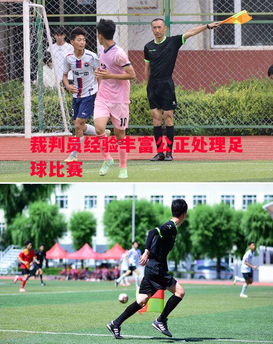 裁判员经验丰富公正处理足球比赛