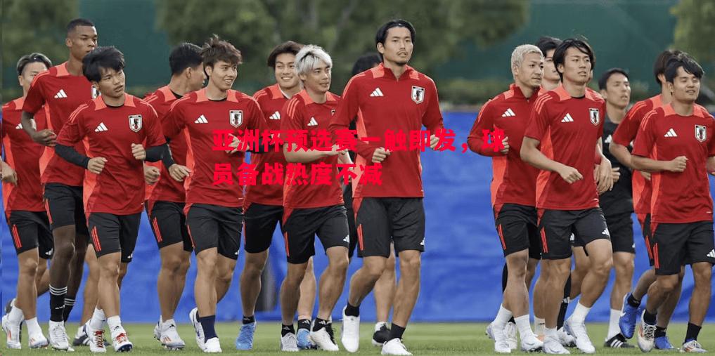 亚洲杯预选赛一触即发，球员备战热度不减