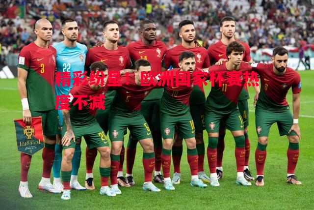 精彩纷呈！欧洲国家杯赛热度不减
